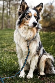 Paracordleine flach selbst konfigurieren