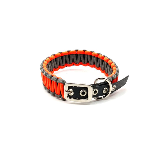 Halsband Orange / Messeware / ab Halsumfang 25cm - 35cm